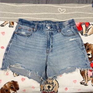 American Eagle Outfitters Distressed Light Blue Jean Shorts